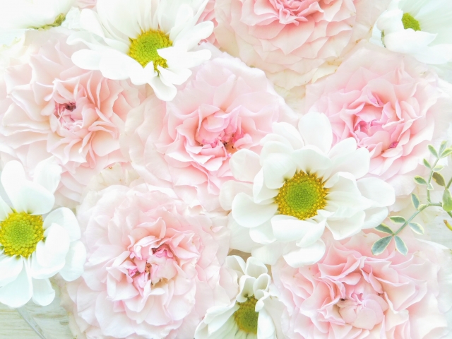 白い花とピンクの花